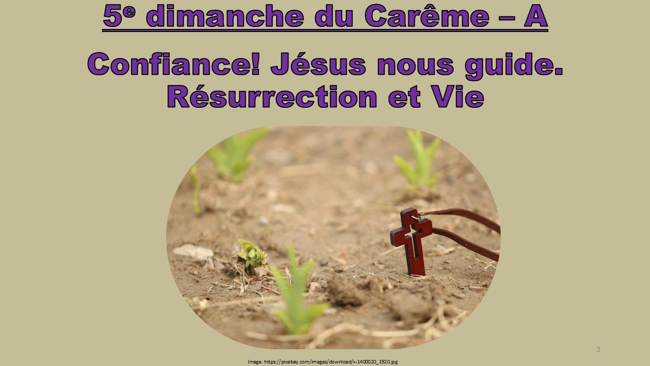 Cliquez sur l'image pour voir défiler les diapositives d'un événement récent ou à venir.