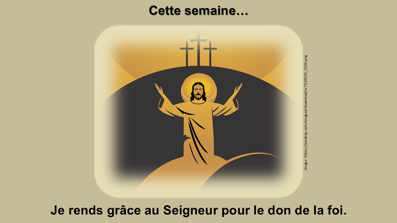 Cliquez sur l'image pour voir défiler les diapositives d'un événement récent ou à venir.